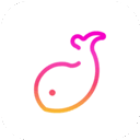 猎奇9.1免费下载安装